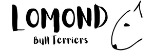 Lomond Bull Terriers